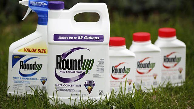 Global Glyphosate Study Pilot Phase Shows Reproductive and Developmental Effects at ‘Safe’ Dose