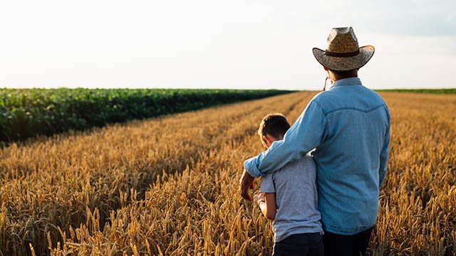 Glyphosate and GM crops are harming no-till soils