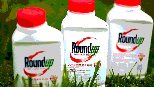 Jeffrey’s Take: Glyphosate & Infant Deaths