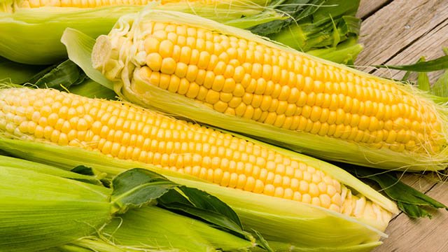 Sweet corn is non-GMO, right?  Read on!