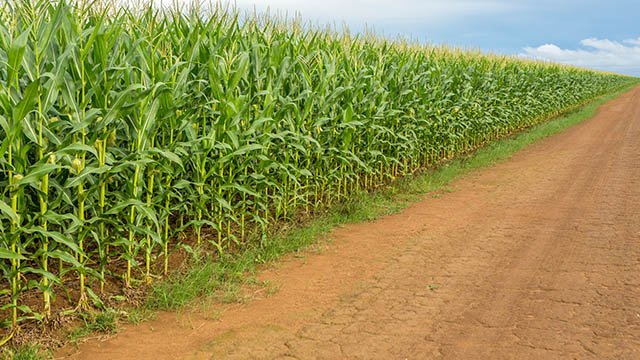 This will make you look at those corn chips in a new way.