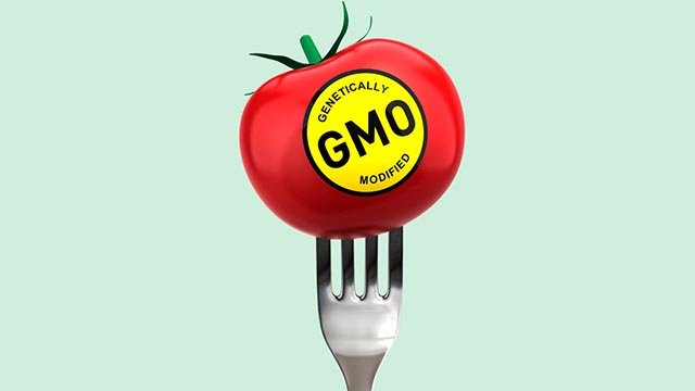 UK consumers want safety testing, risk assessment, and labelling of “precision bred” GMOs